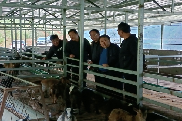 2-2020113017.jpg