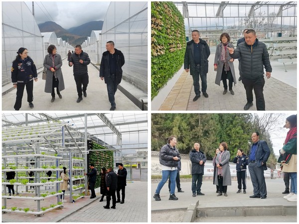 2 ContactSheet_0011.jpg