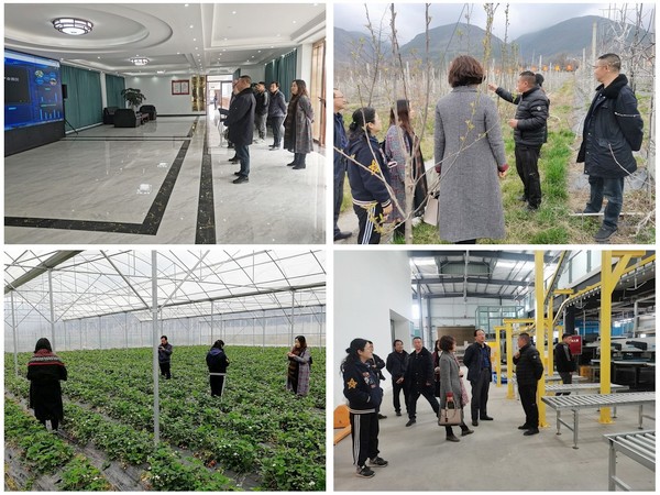 2 ContactSheet_001.jpg