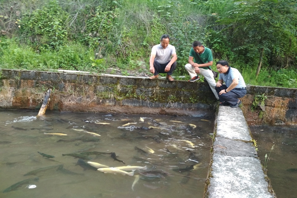 检查验收临水鱼养殖科普示范基地现场.jpg