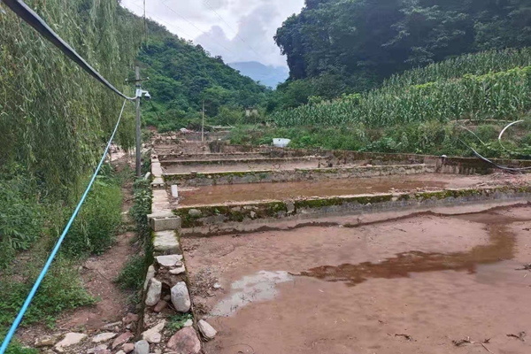 受灾的鱼池.jpg