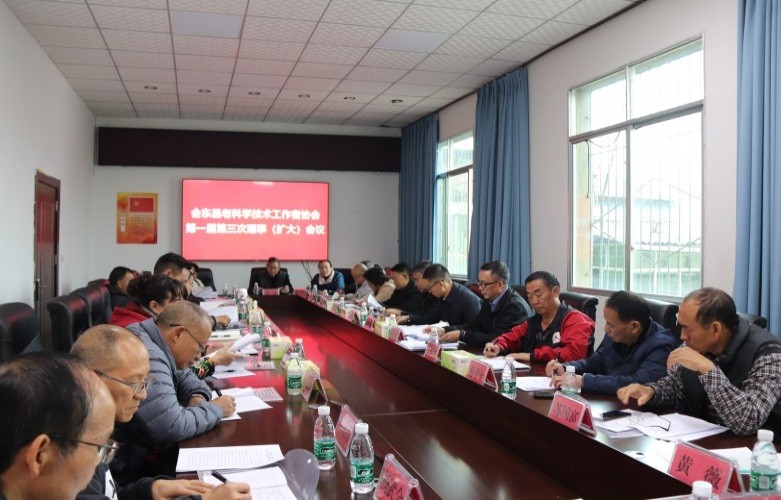 老科协打二次会议3.jpg