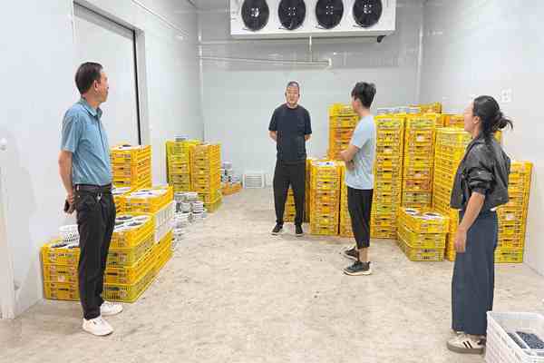 1775811722660029871.jpg 0.jpg